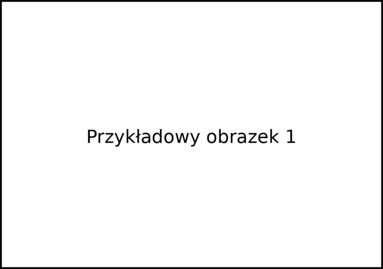 obrazek_1_1048x736